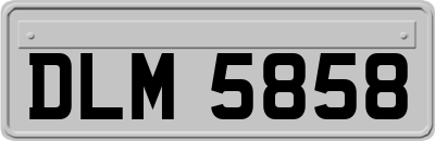 DLM5858