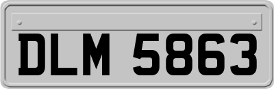 DLM5863