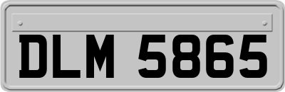 DLM5865