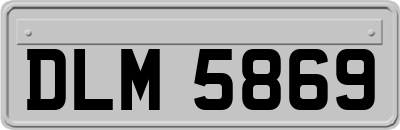 DLM5869