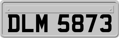 DLM5873