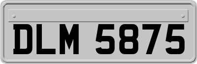 DLM5875