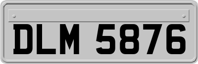 DLM5876
