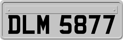 DLM5877