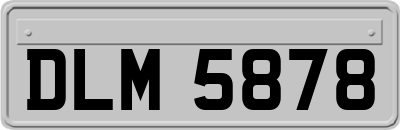 DLM5878