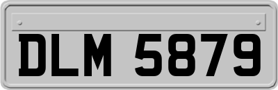 DLM5879