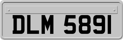 DLM5891