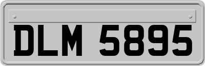 DLM5895