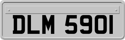 DLM5901
