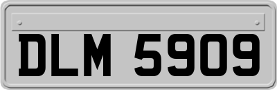 DLM5909