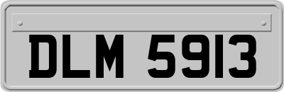DLM5913