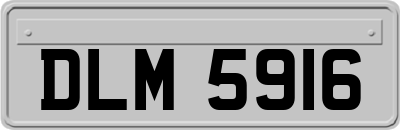 DLM5916