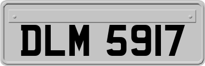 DLM5917