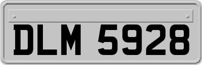 DLM5928