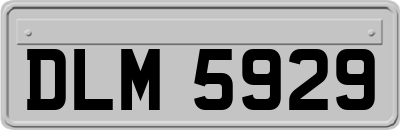 DLM5929
