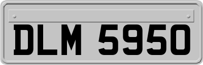 DLM5950