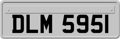 DLM5951