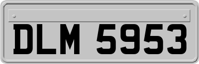 DLM5953
