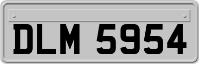 DLM5954