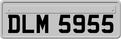 DLM5955