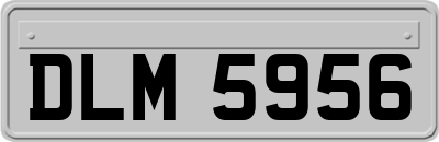 DLM5956