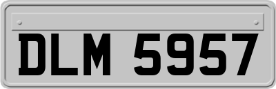 DLM5957