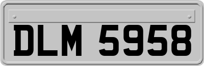 DLM5958