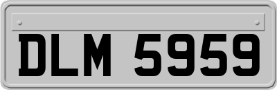 DLM5959