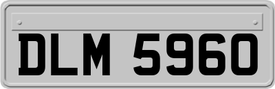 DLM5960