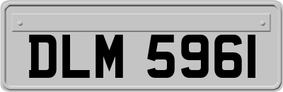 DLM5961