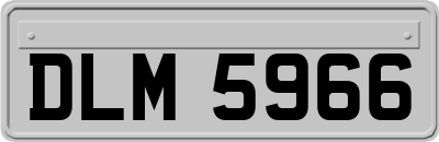 DLM5966