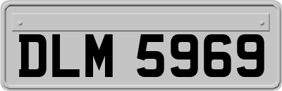 DLM5969