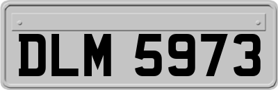 DLM5973