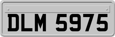DLM5975