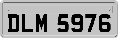 DLM5976