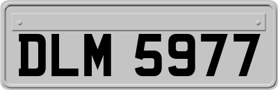 DLM5977