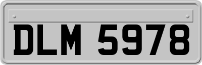 DLM5978