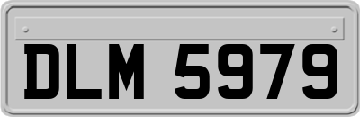 DLM5979