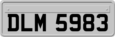 DLM5983