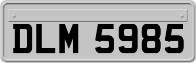 DLM5985