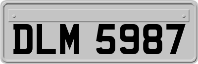 DLM5987