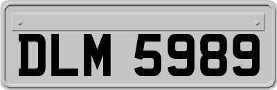 DLM5989