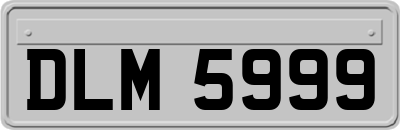 DLM5999