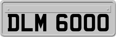 DLM6000