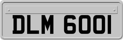 DLM6001