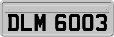 DLM6003