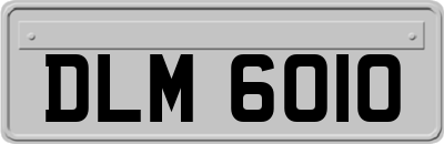 DLM6010