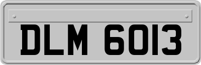 DLM6013