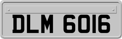 DLM6016