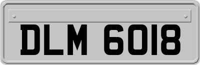 DLM6018
